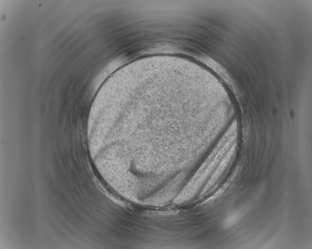 X0000062631337200601181710