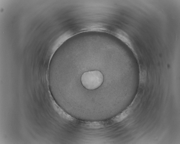 X0000062631338200601181710