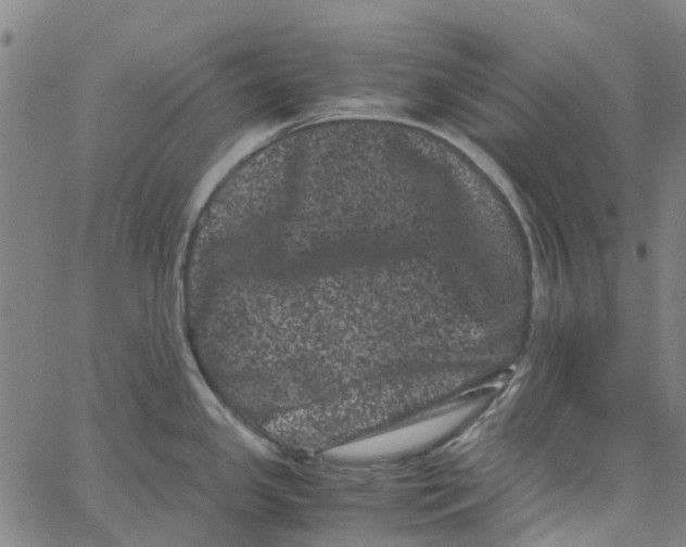 X0000062631341200601181710