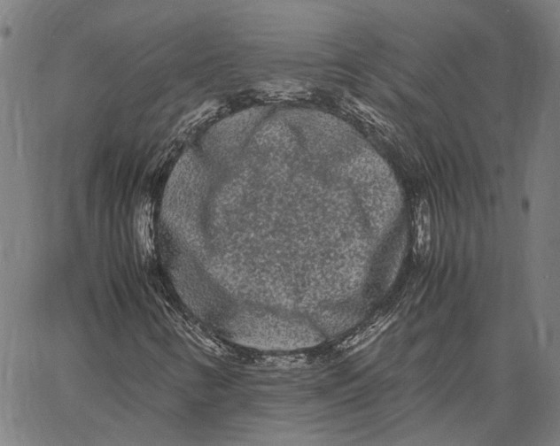 X0000062631346200601181709