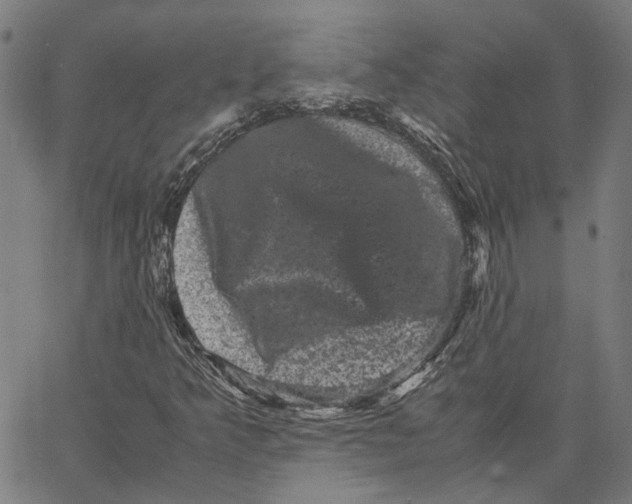 X0000062631349200601181709