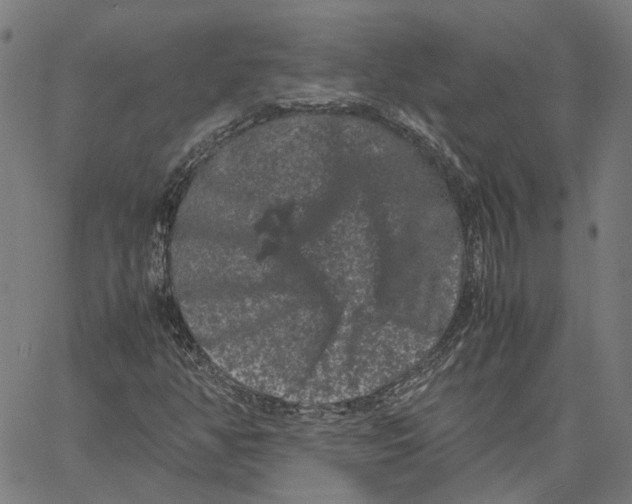 X0000062631350200601181709