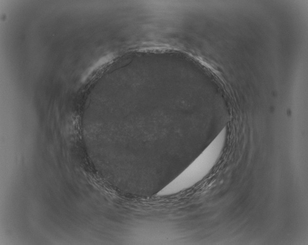 X0000062631351200601181709