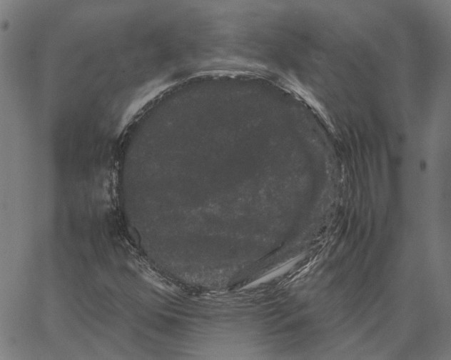 X0000062631352200601181709