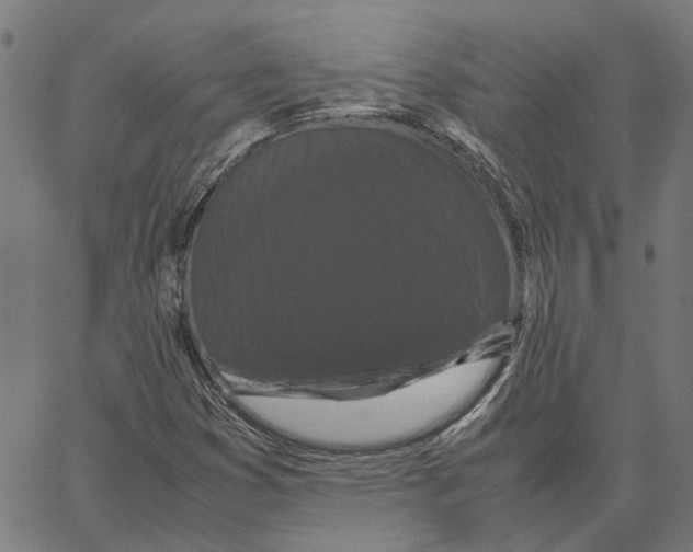 X0000062631353200601181709