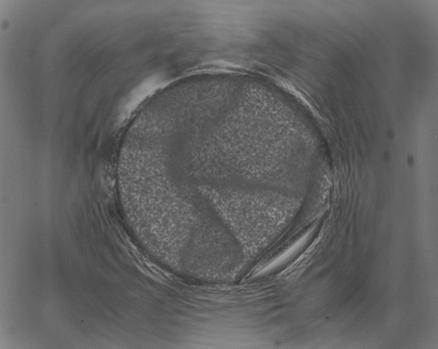 X0000062631355200601181709