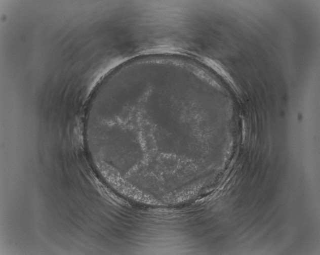 X0000062631356200601181709