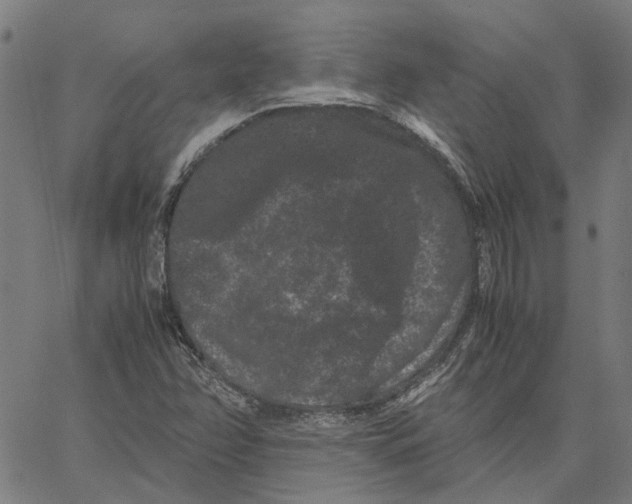 X0000062631358200601181709