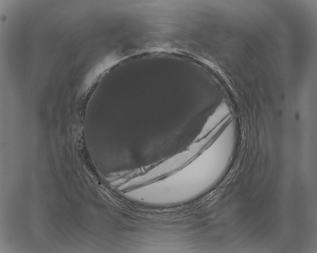 X0000062631359200601181709