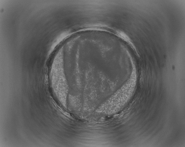 X0000062631360200601181709