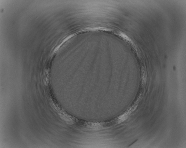 X0000062631361200601181709