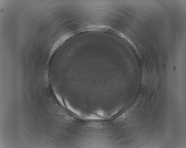 X0000062631362200601181709