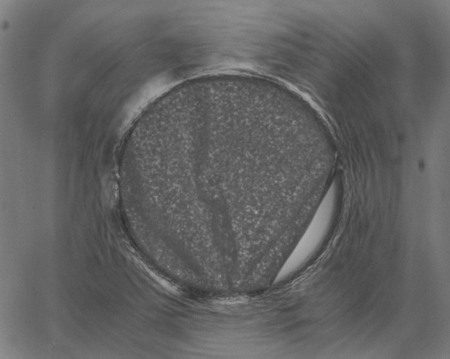 X0000062631363200601181709