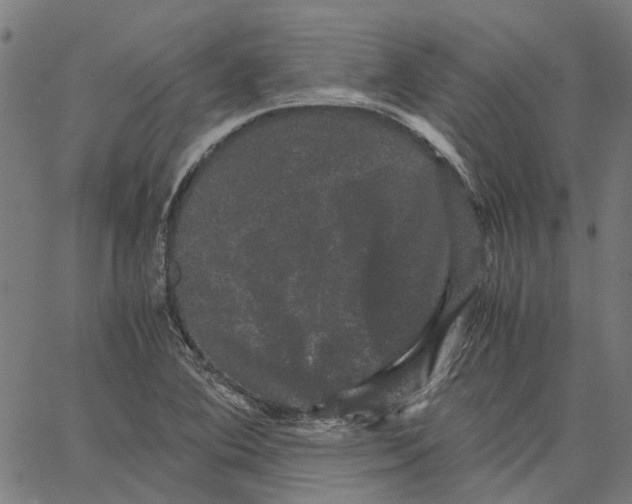 X0000062631364200601181709