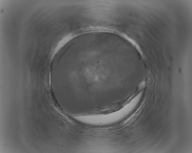 X0000062631365200601181709