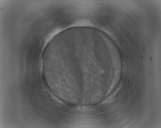 X0000062631366200601181709