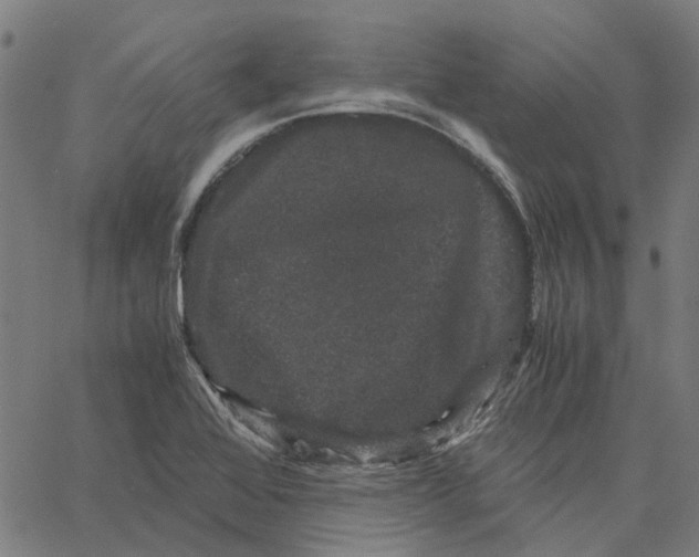 X0000062631368200601181709