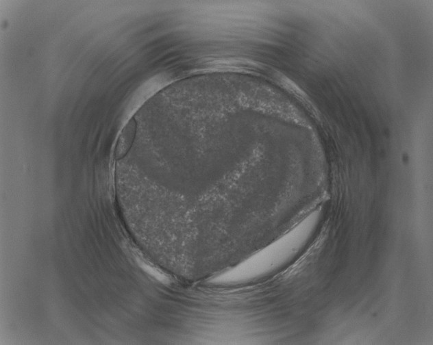 X0000062631370200601181709