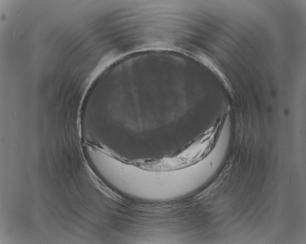 X0000062631372200601181709