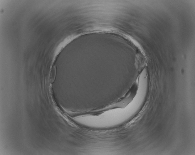 X0000062631373200601181709