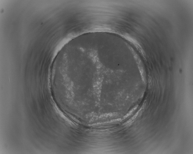 X0000062631374200601181709