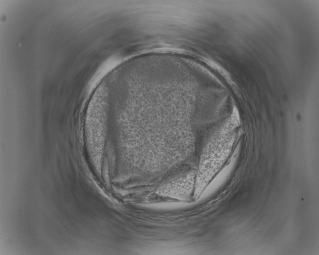 X0000062631375200601181709