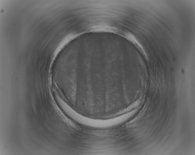 X0000062631376200601181709