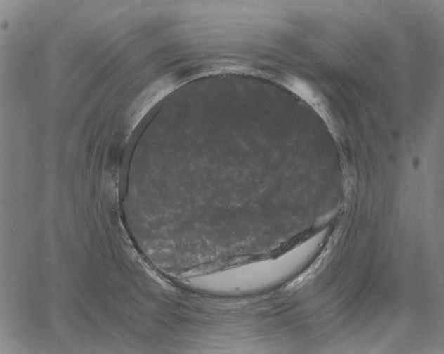 X0000062631377200601181709