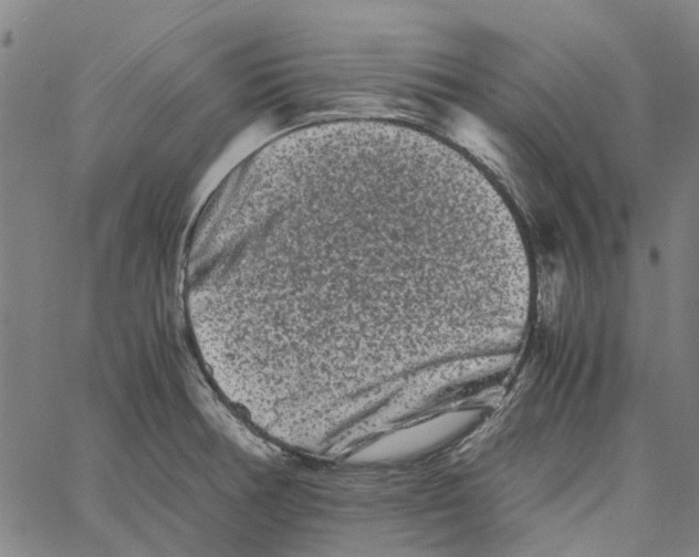 X0000062631378200601181709