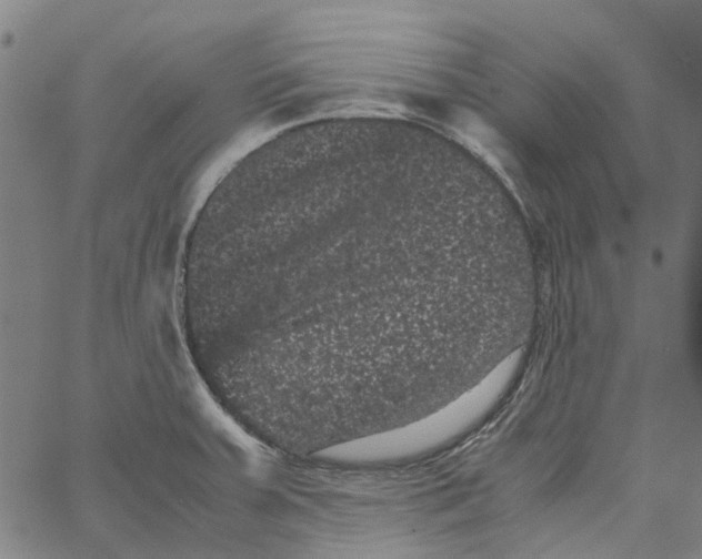 X0000062631379200601181709