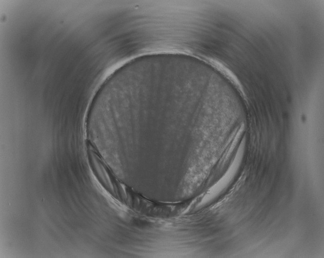 X0000062631380200601181709