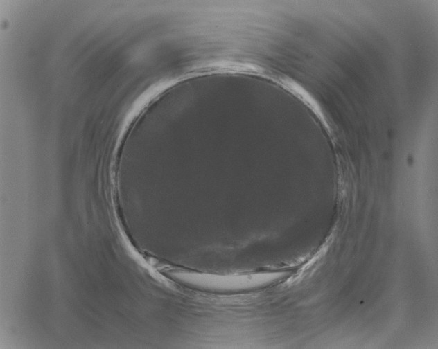 X0000062631381200601181709