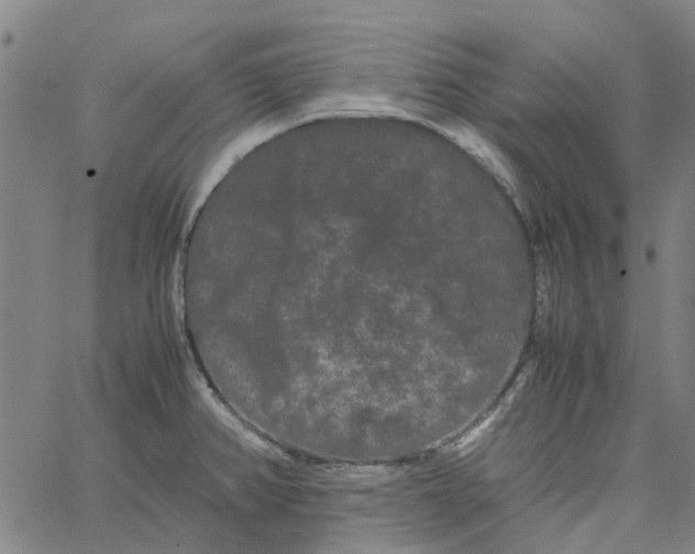 X0000062631382200601181709