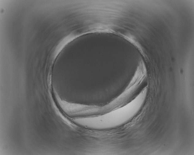 X0000062631383200601181709