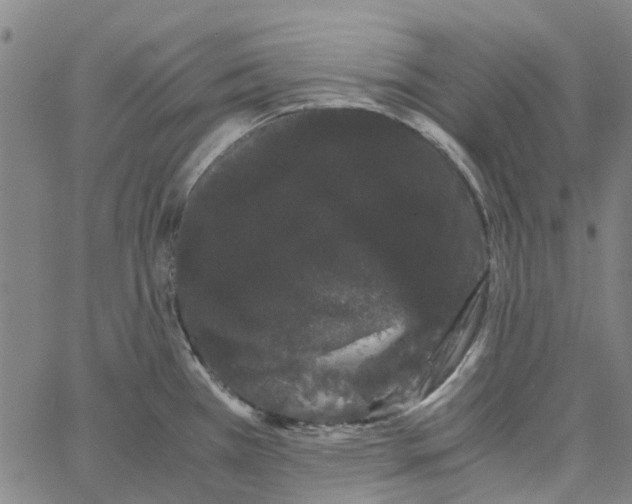 X0000062631385200601181709