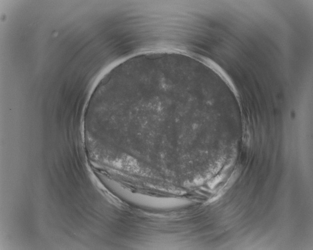 X0000062631388200601181709