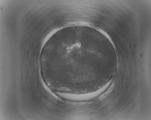 X0000062631389200601181709