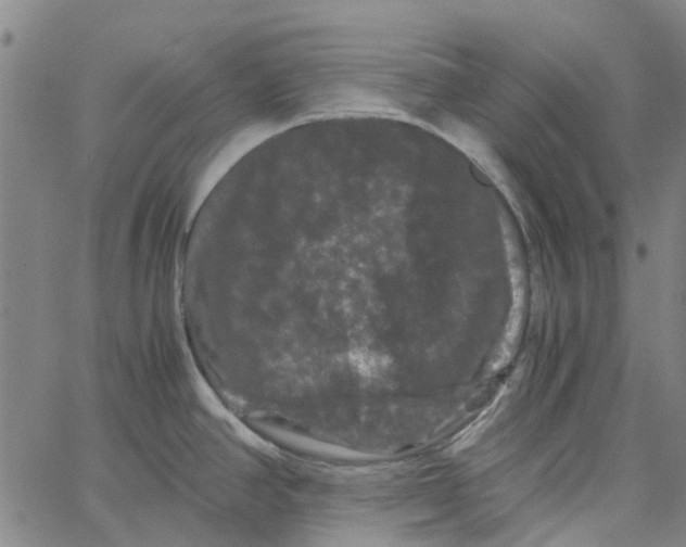 X0000062631390200601181709