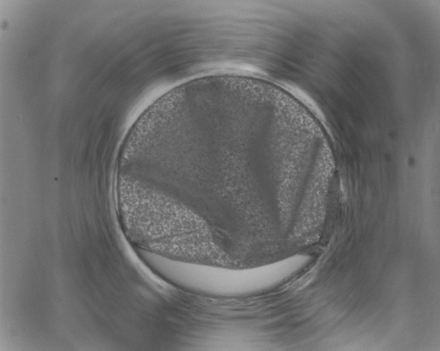 X0000062631391200601181709