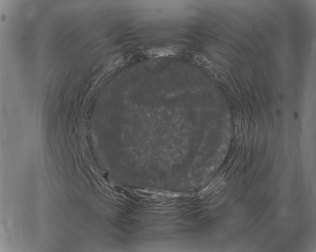 X0000062631393200601181708