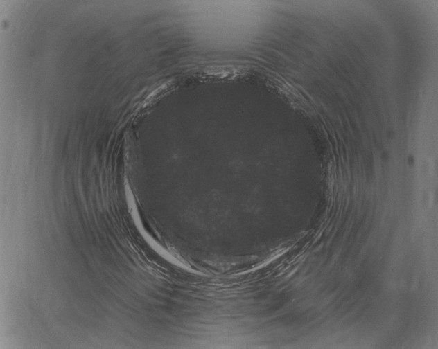 X0000062631394200601181708