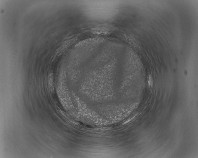 X0000062631396200601181708