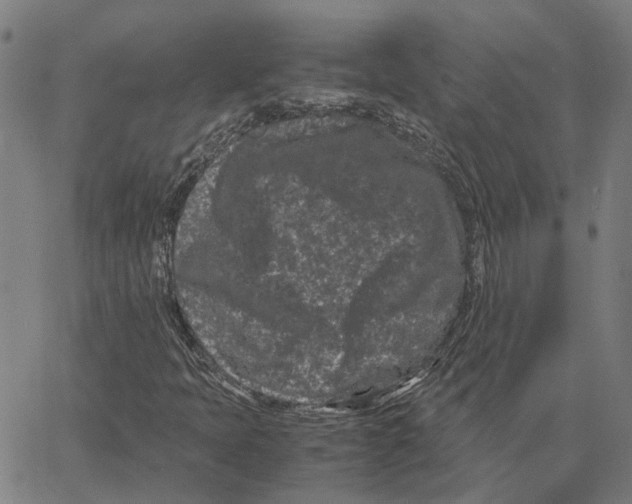 X0000062631397200601181708