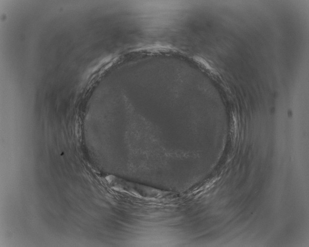 X0000062631398200601181708