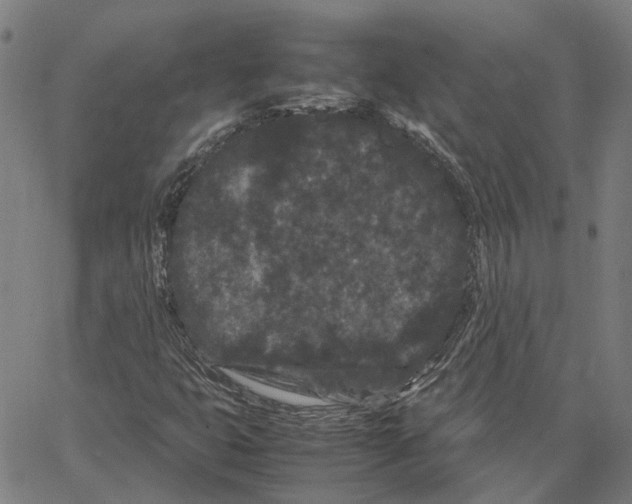 X0000062631399200601181708