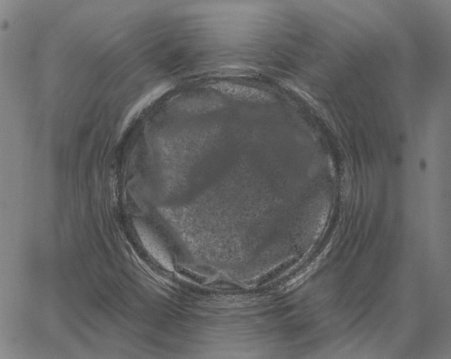 X0000062631402200601181708