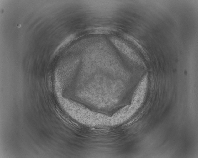 X0000062631403200601181708