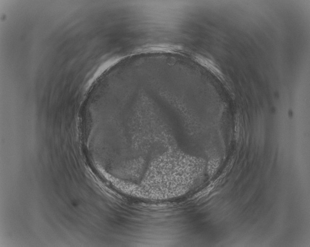 X0000062631404200601181708