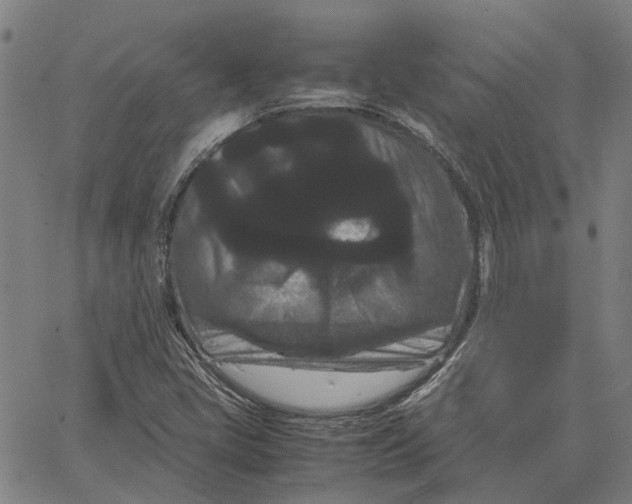 X0000062631405200601181708