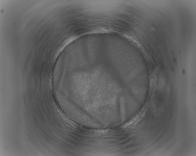 X0000062631409200601181708